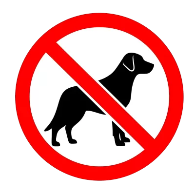 Imagen PNG para descargar